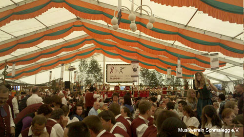 2010-08-08 Jubiläumsumzug 100 Jahre Musikverein Taldorf 12