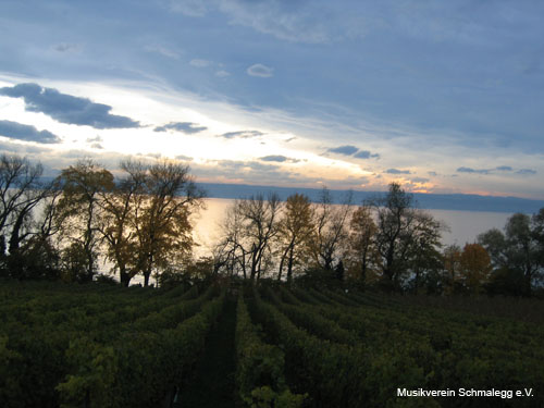 2010-10-31 Ausflug Heiligenberg - Hagnau 64