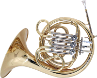 Instrument Horn