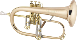 Instrument Fl&uuml;gelhorn